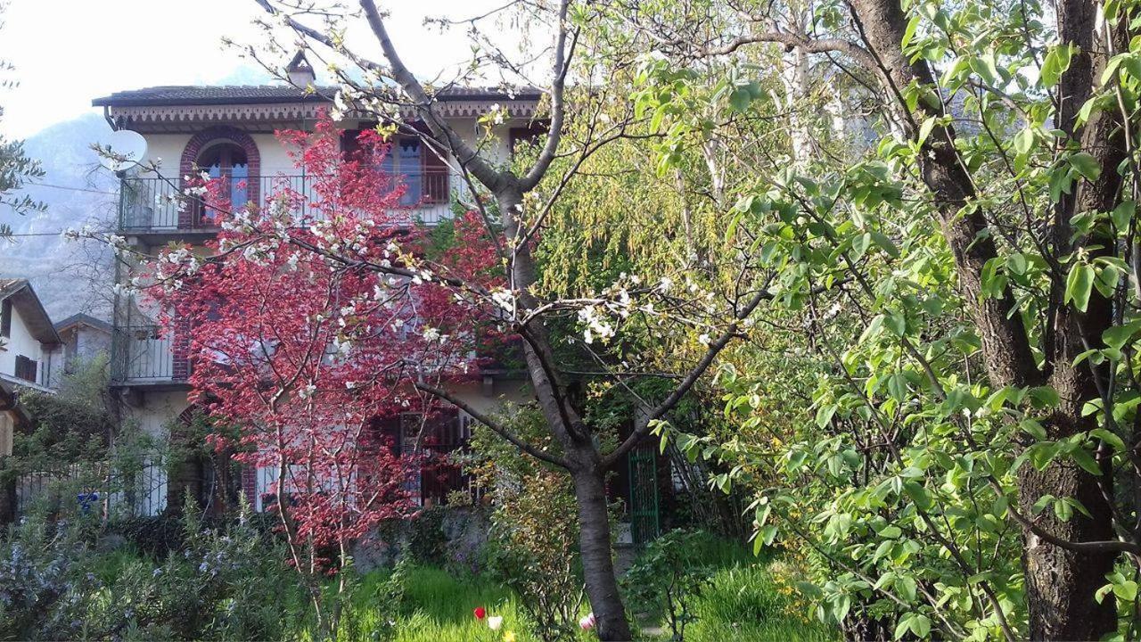 Il Giardino Dei Merli Bussoleno Екстер'єр фото